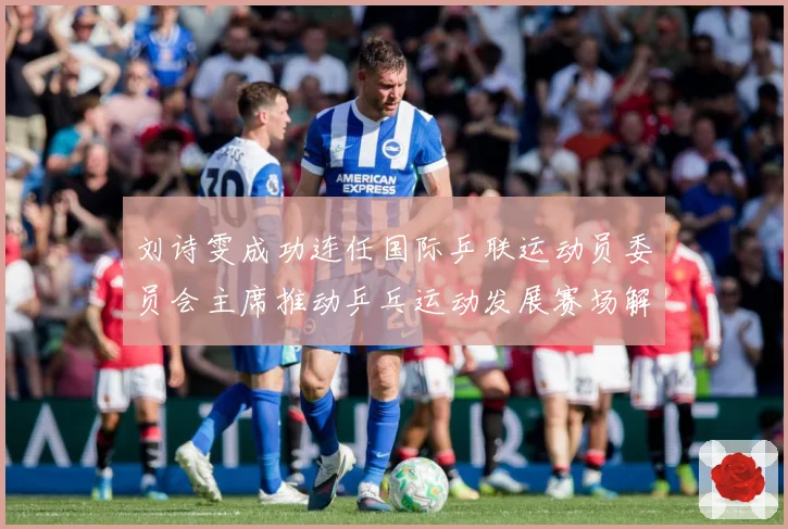 刘诗雯成功连任国际乒联运动员委员会主席推动乒乓运动发展赛场解读-深度解析