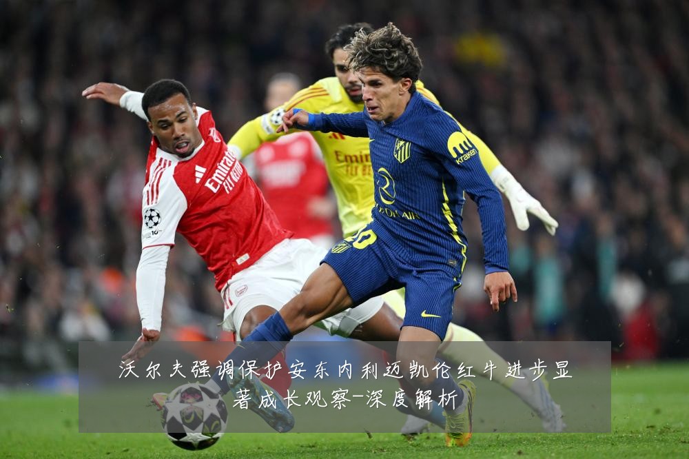 沃尔夫强调保护安东内利迈凯伦红牛进步显著成长观察-深度解析
